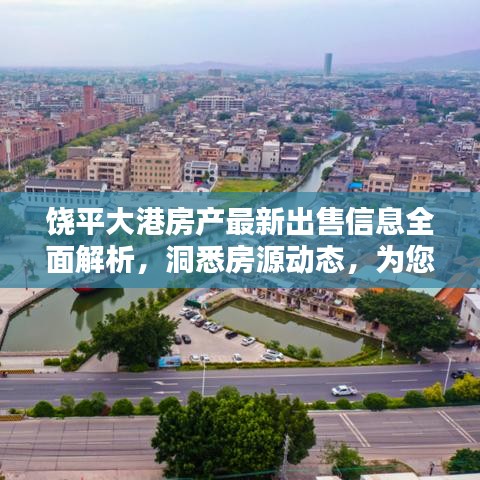 饶平大港房产最新出售信息全面解析，洞悉房源动态，为您置业助力！