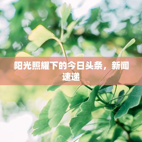 阳光照耀下的今日头条，新闻速递