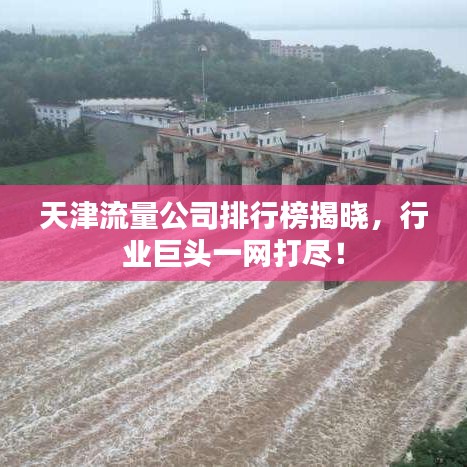 天津流量公司排行榜揭晓，行业巨头一网打尽！