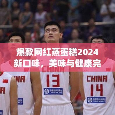 爆款网红蒸蛋糕2024新口味，美味与健康完美融合之选