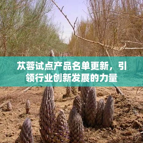 不畏权贵 第4页