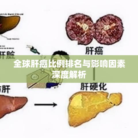 全球肝癌比例排名与影响因素深度解析
