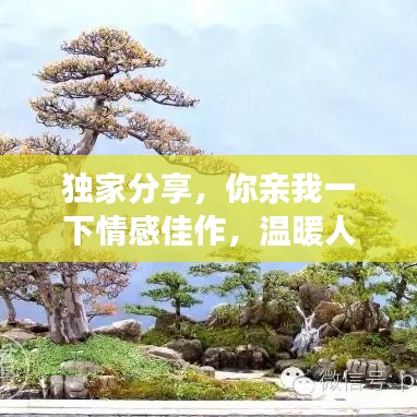 2025年5月16日 第48页