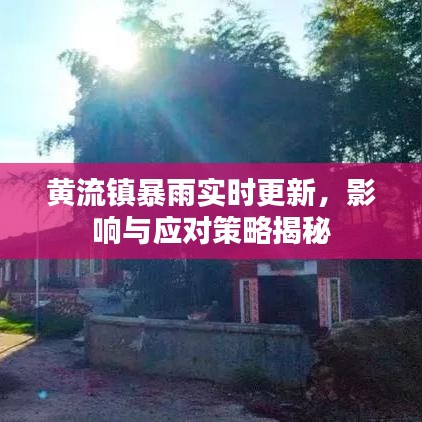 黄流镇暴雨实时更新，影响与应对策略揭秘