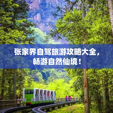张家界自驾旅游攻略大全，畅游自然仙境！