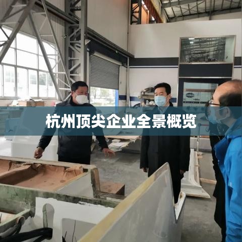 杭州顶尖企业全景概览