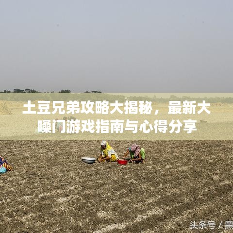 2025年5月16日 第2页