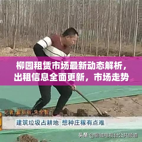 柳园租赁市场最新动态解析，出租信息全面更新，市场走势一目了然