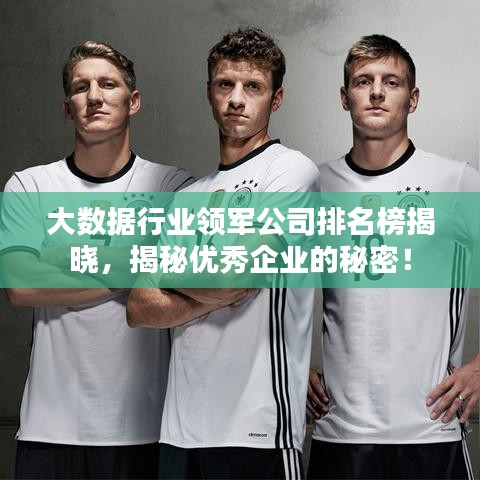 大数据行业领军公司排名榜揭晓，揭秘优秀企业的秘密！