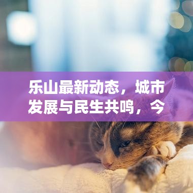 乐山最新动态，城市发展与民生共鸣，今日新闻聚焦城市脉搏