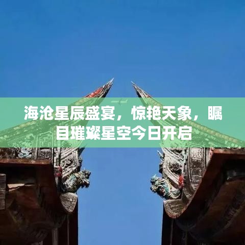 2025年5月17日 第31页