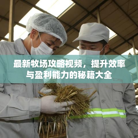 最新牧场攻略视频，提升效率与盈利能力的秘籍大全