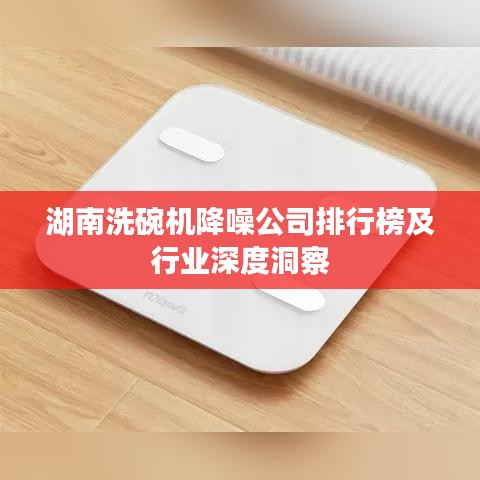 湖南洗碗机降噪公司排行榜及行业深度洞察