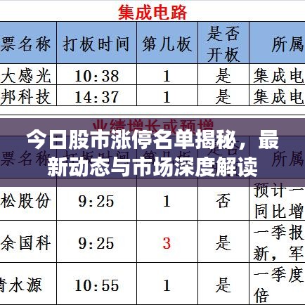 今日股市涨停名单揭秘，最新动态与市场深度解读
