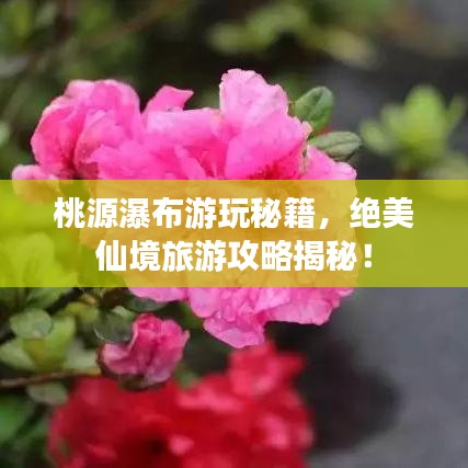 桃源瀑布游玩秘籍，绝美仙境旅游攻略揭秘！