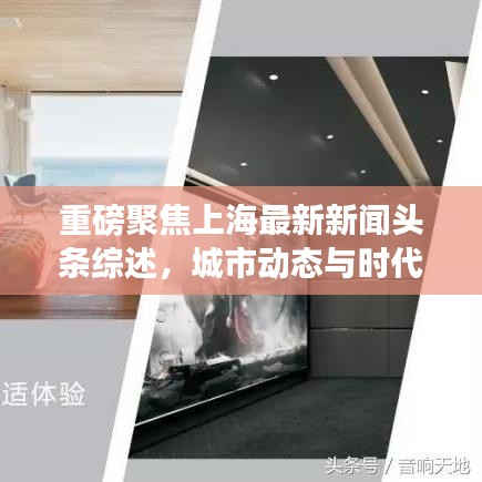 重磅聚焦上海最新新闻头条综述，城市动态与时代脉搏同步跳动