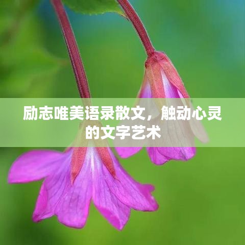励志唯美语录散文，触动心灵的文字艺术