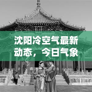 沈阳冷空气最新动态，今日气象分析及其影响探讨