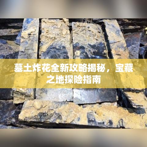 墓土炸花全新攻略揭秘，宝藏之地探险指南