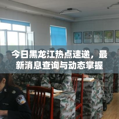 今日黑龙江热点速递，最新消息查询与动态掌握