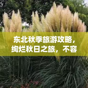 东北秋季旅游攻略，绚烂秋日之旅，不容错过的精彩体验！
