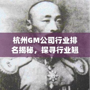 杭州GM公司行业排名揭秘，探寻行业翘楚的成功秘诀