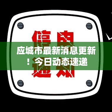 应城市最新消息更新！今日动态速递