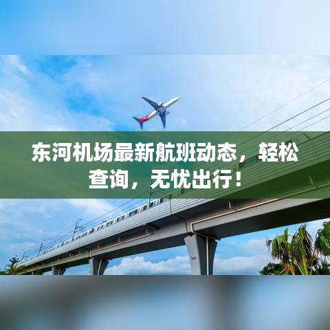 东河机场最新航班动态，轻松查询，无忧出行！