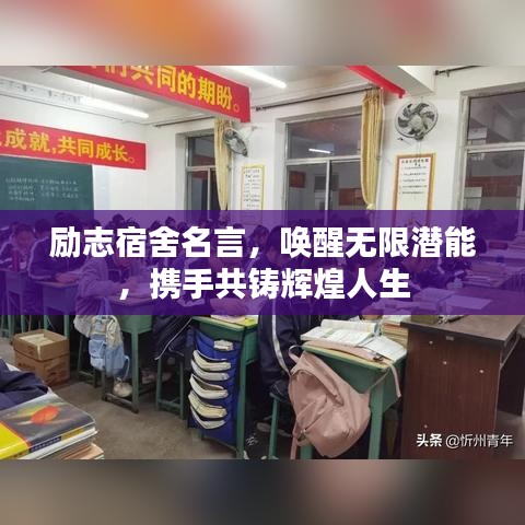励志宿舍名言，唤醒无限潜能，携手共铸辉煌人生