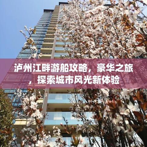 泸州江畔游船攻略，豪华之旅，探索城市风光新体验