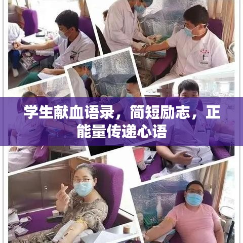 学生献血语录，简短励志，正能量传递心语