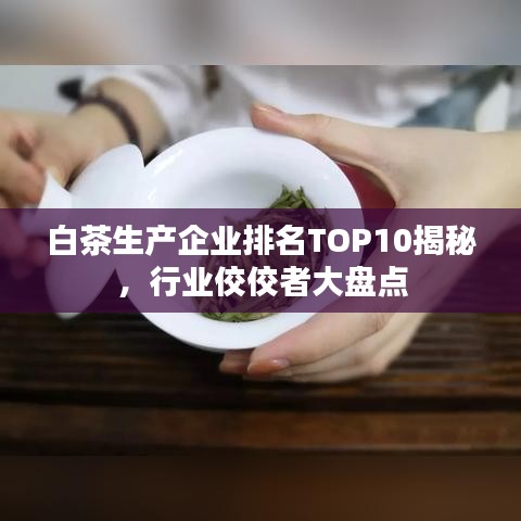 白茶生产企业排名TOP10揭秘，行业佼佼者大盘点