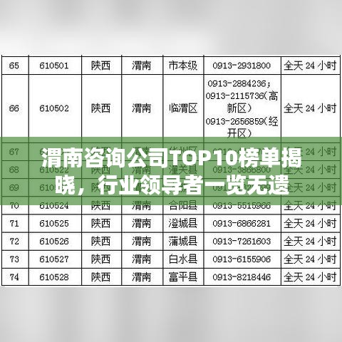 渭南咨询公司TOP10榜单揭晓，行业领导者一览无遗