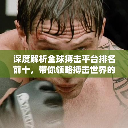 深度解析全球搏击平台排名前十，带你领略搏击世界的精彩对决！