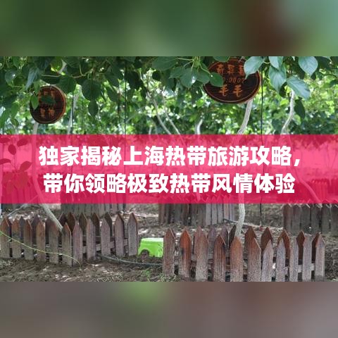 独家揭秘上海热带旅游攻略，带你领略极致热带风情体验