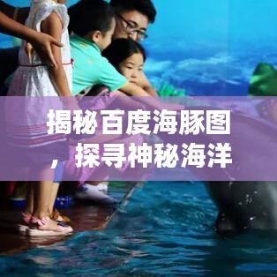 揭秘百度海豚图，探寻神秘海洋世界的奥秘宝藏