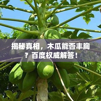 揭秘真相，木瓜能否丰胸？百度权威解答！