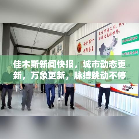 佳木斯新闻快报，城市动态更新，万象更新，脉搏跳动不停