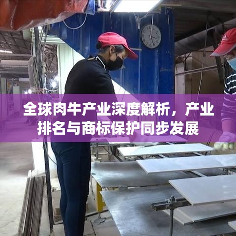 全球肉牛产业深度解析，产业排名与商标保护同步发展
