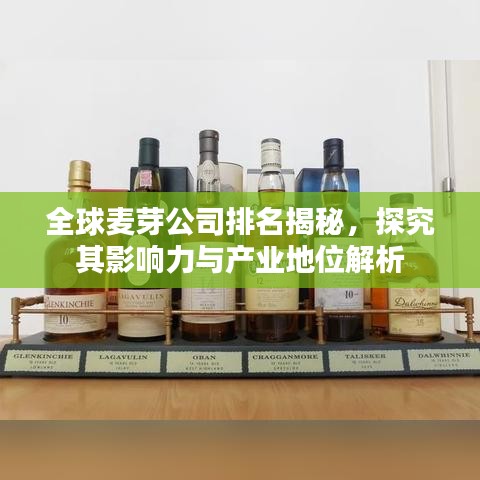 全球麦芽公司排名揭秘，探究其影响力与产业地位解析