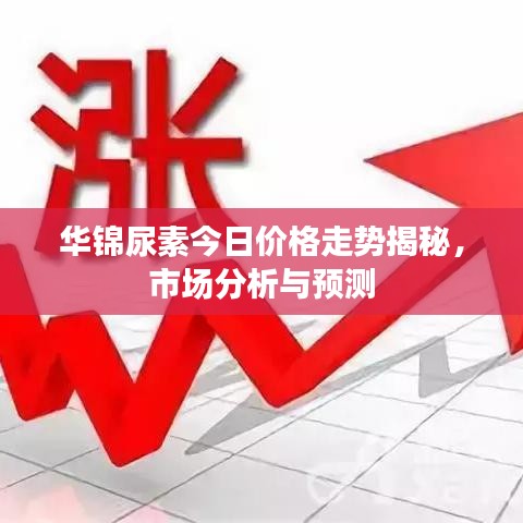华锦尿素今日价格走势揭秘，市场分析与预测
