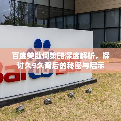 百度关键词策略深度解析，探讨久9久背后的秘密与启示