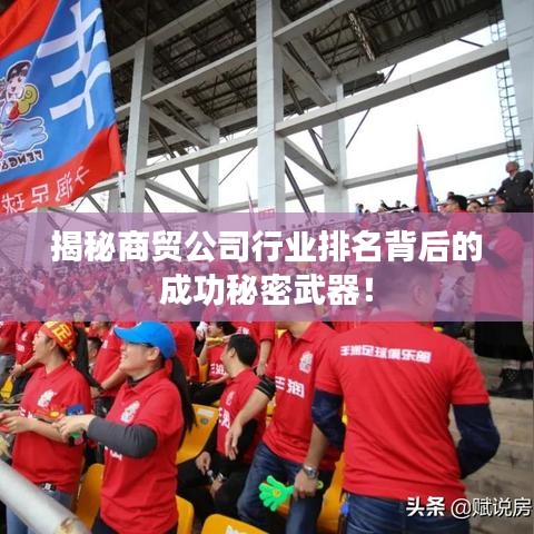 揭秘商贸公司行业排名背后的成功秘密武器！