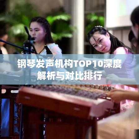 钢琴发声机构TOP10深度解析与对比排行