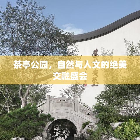 茶亭公园，自然与人文的绝美交融盛会