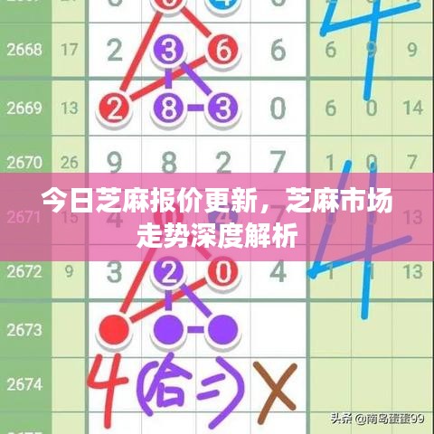 今日芝麻报价更新，芝麻市场走势深度解析