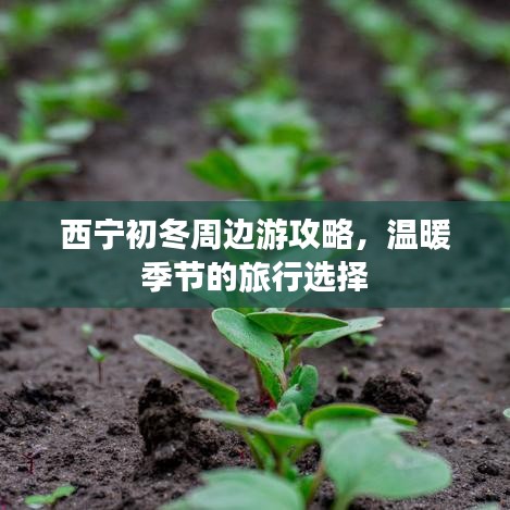 西宁初冬周边游攻略，温暖季节的旅行选择