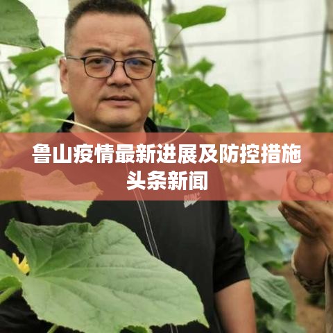 鲁山疫情最新进展及防控措施头条新闻