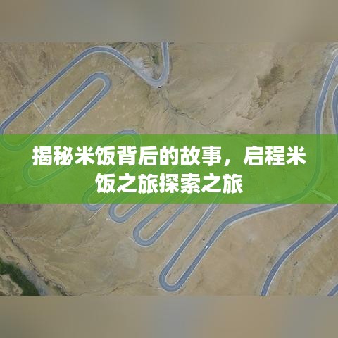 揭秘米饭背后的故事，启程米饭之旅探索之旅