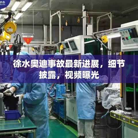 徐水奥迪事故最新进展，细节披露，视频曝光